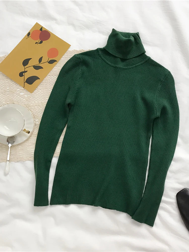 2025 Autumn Winter Thick Sweater Women Knitted Ribbed Pullover Sweater Long Sleeve Turtleneck Slim Jumper Soft Warm Pull Femme Lizbert