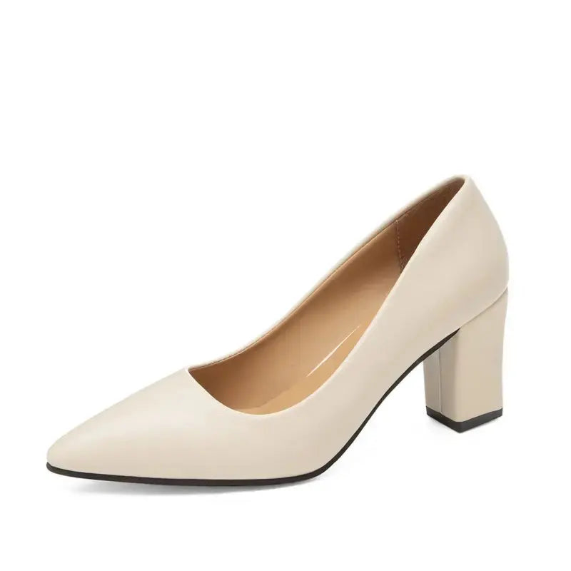 Highly Rated New Flattering High Heels Ladies Shoes Lizbert