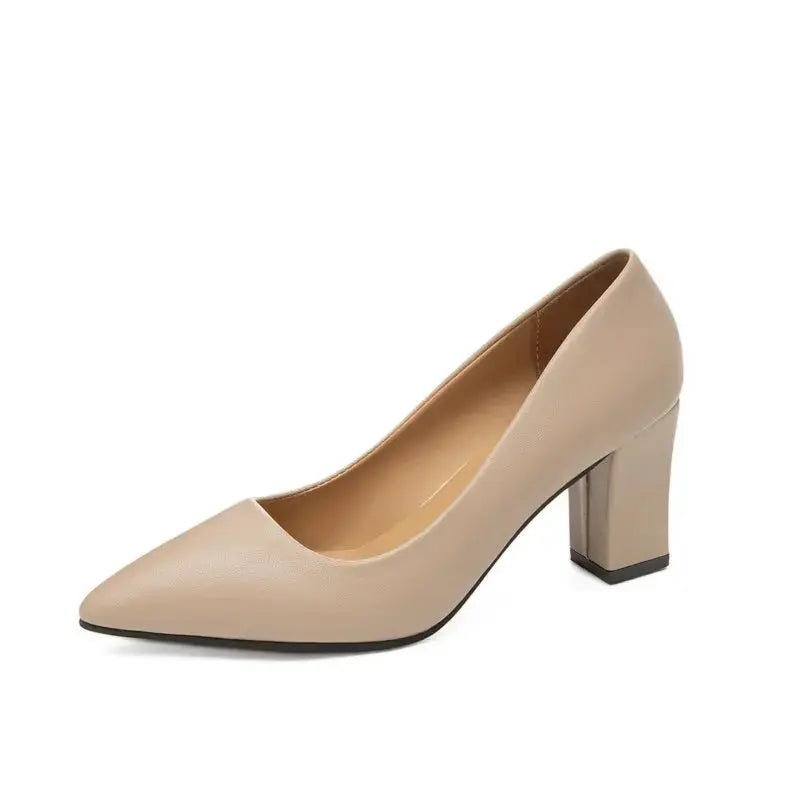 Highly Rated New Flattering High Heels Ladies Shoes Lizbert