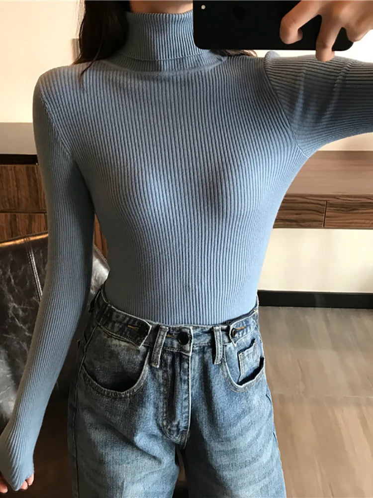 2025 Autumn Winter Thick Sweater Women Knitted Ribbed Pullover Sweater Long Sleeve Turtleneck Slim Jumper Soft Warm Pull Femme Lizbert