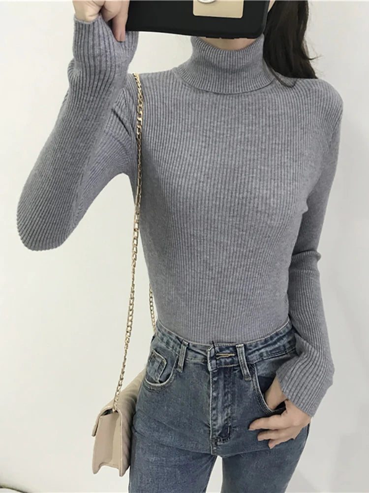 2025 Autumn Winter Thick Sweater Women Knitted Ribbed Pullover Sweater Long Sleeve Turtleneck Slim Jumper Soft Warm Pull Femme Lizbert