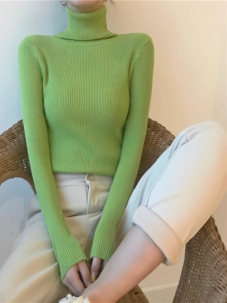 2025 Autumn Winter Thick Sweater Women Knitted Ribbed Pullover Sweater Long Sleeve Turtleneck Slim Jumper Soft Warm Pull Femme Lizbert