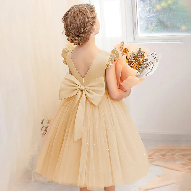 Kids Dresses for Girls Clothes Children's Clothing Fairy Princess Girls Dress Dance Wear Stage Party Lace Cosplay Costumes Lizbert