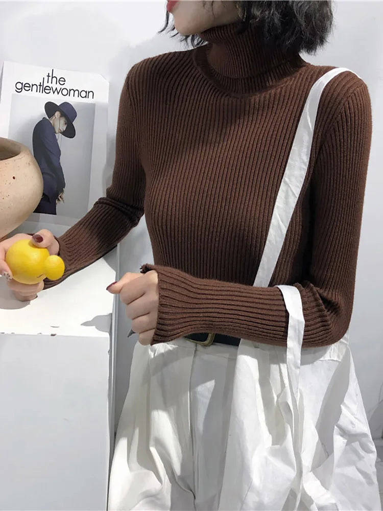 2025 Autumn Winter Thick Sweater Women Knitted Ribbed Pullover Sweater Long Sleeve Turtleneck Slim Jumper Soft Warm Pull Femme Lizbert